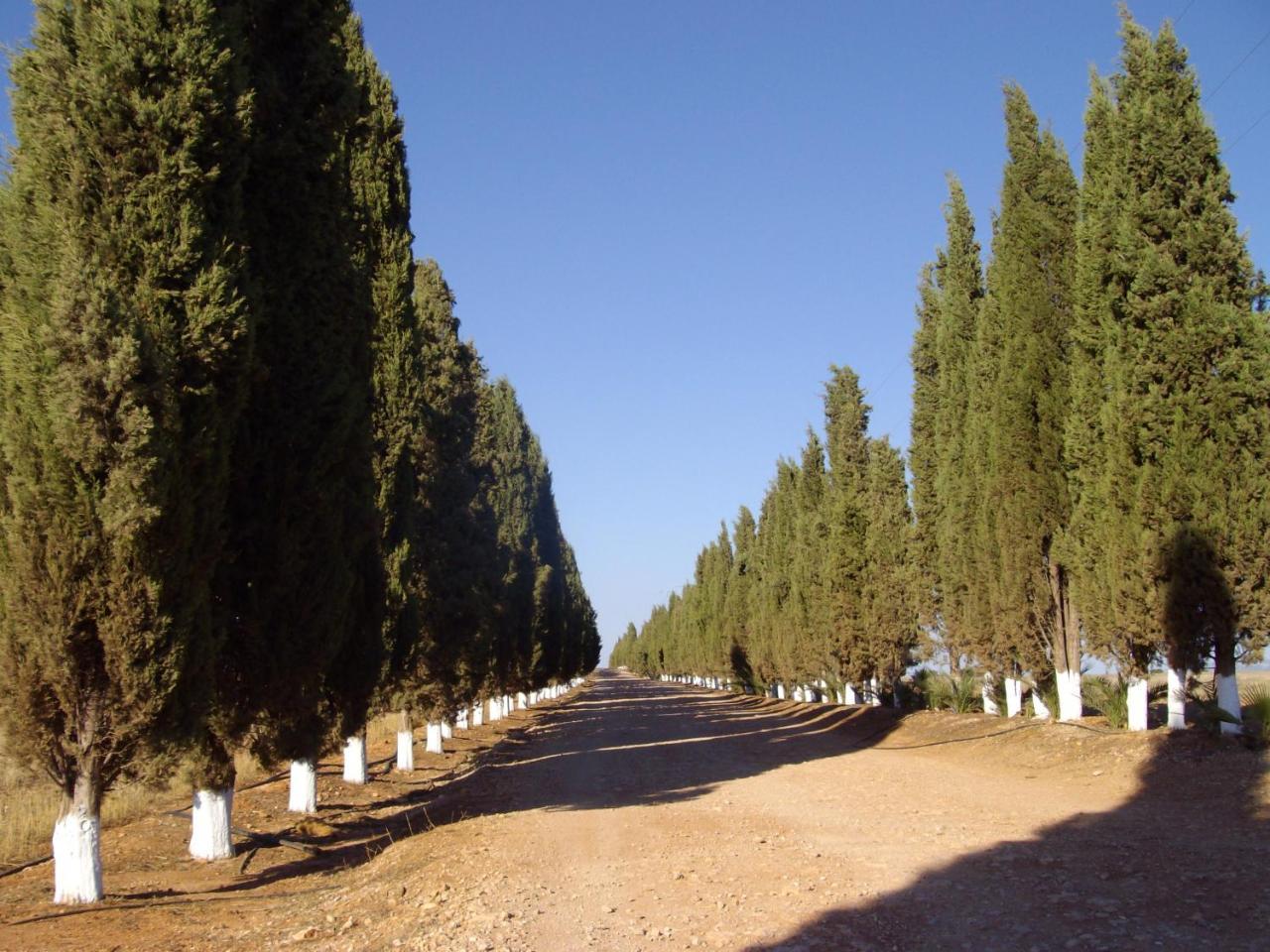 Humilladero Cortijo Ferradores מראה חיצוני תמונה