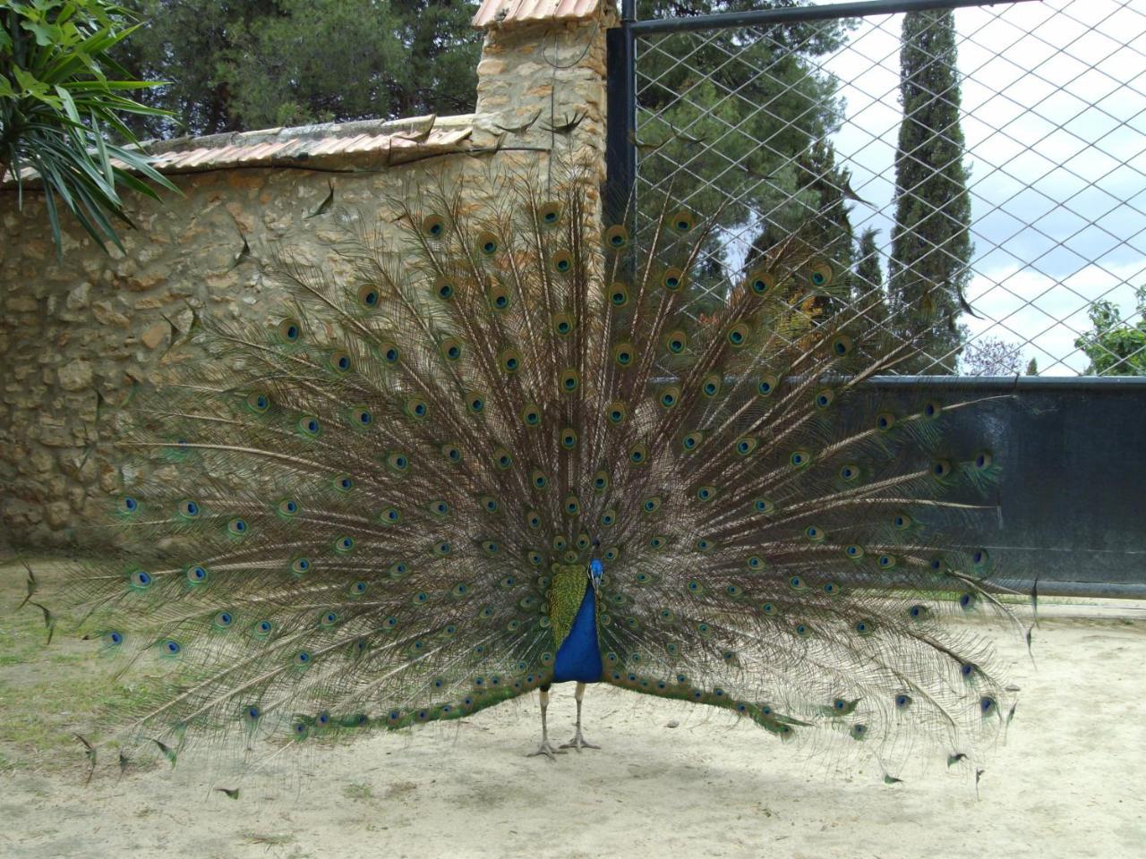 Humilladero Cortijo Ferradores מראה חיצוני תמונה