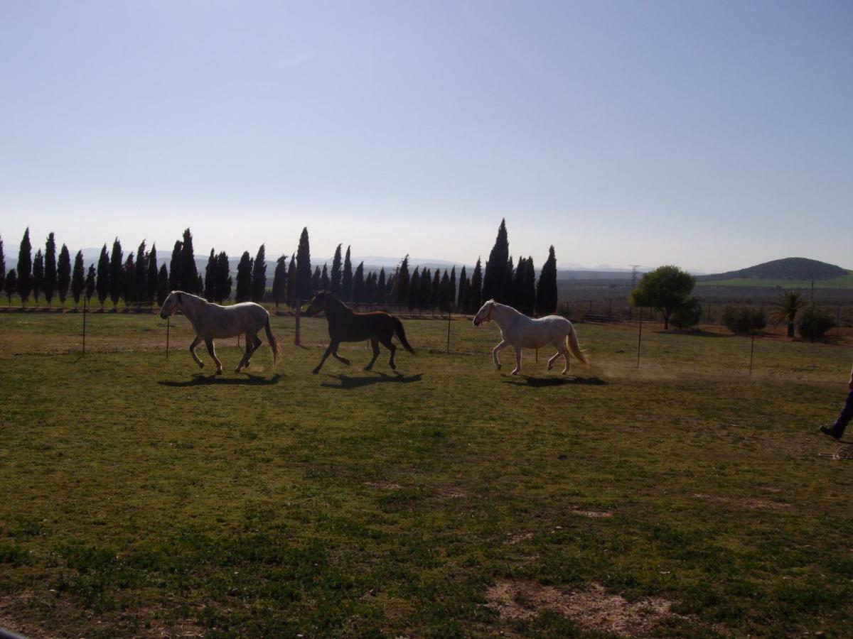 Humilladero Cortijo Ferradores מראה חיצוני תמונה