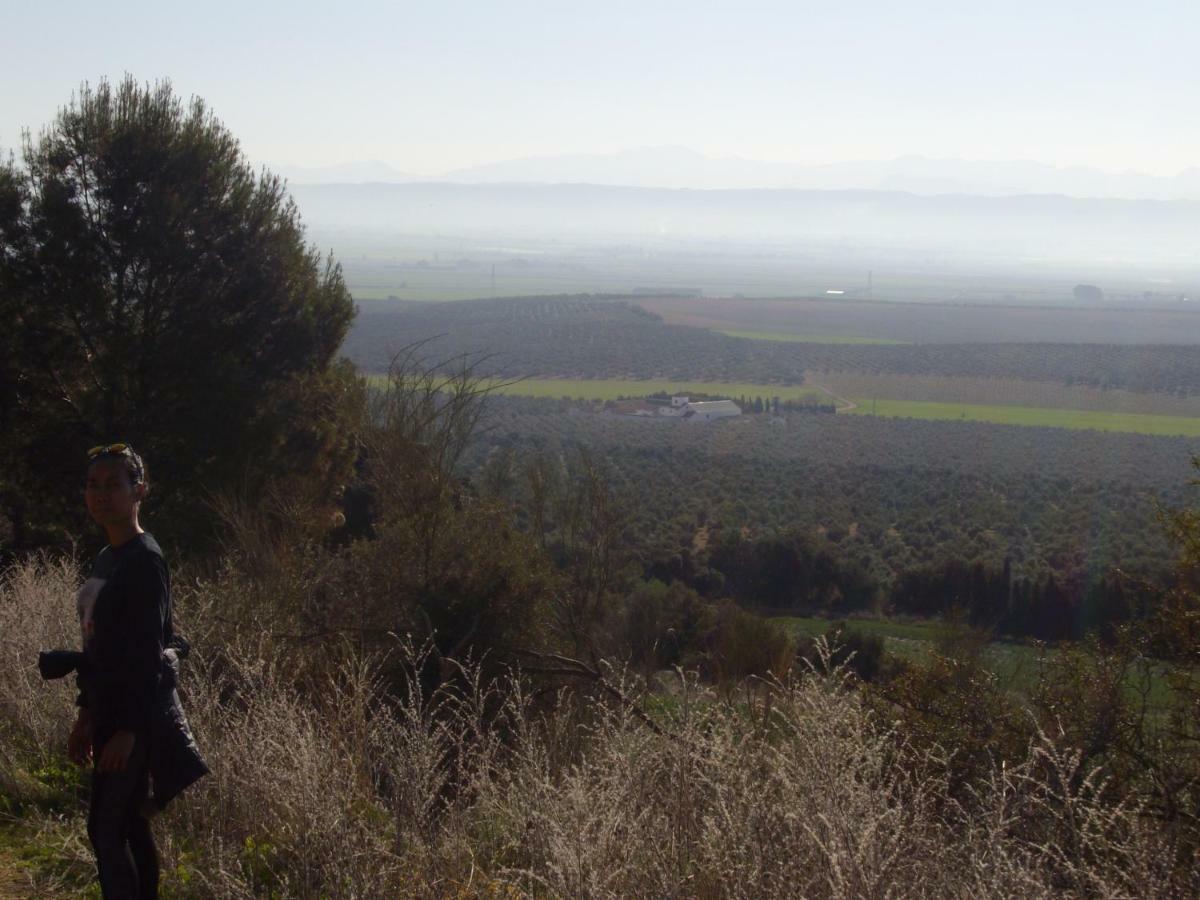 Humilladero Cortijo Ferradores מראה חיצוני תמונה