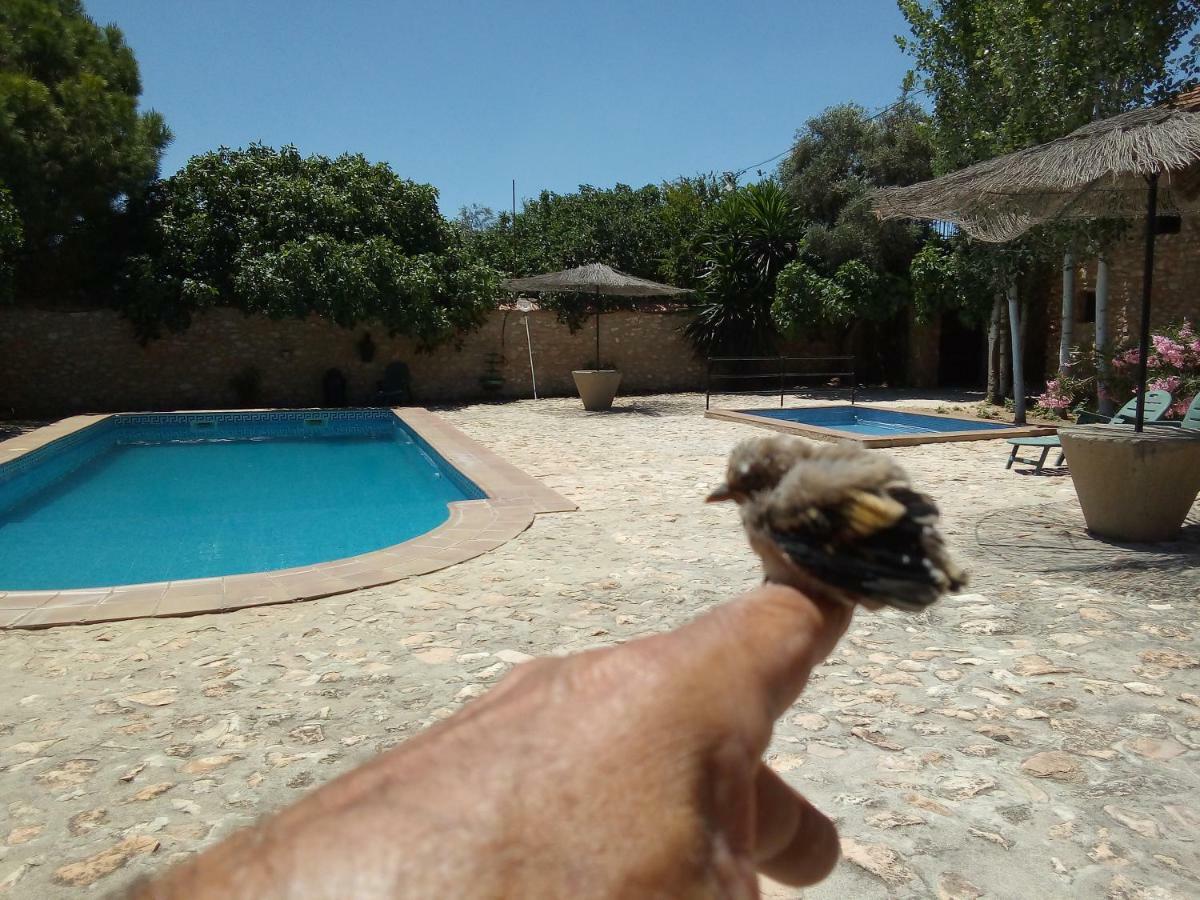 Humilladero Cortijo Ferradores מראה חיצוני תמונה